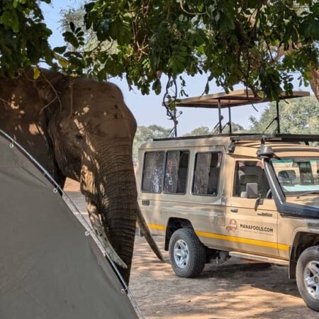 Classic Mana wilderness