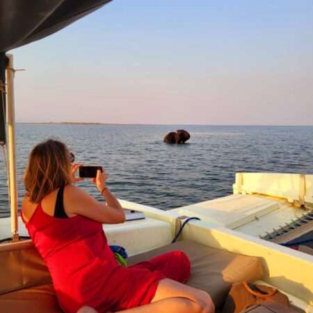 Sail with elephants sunset pic