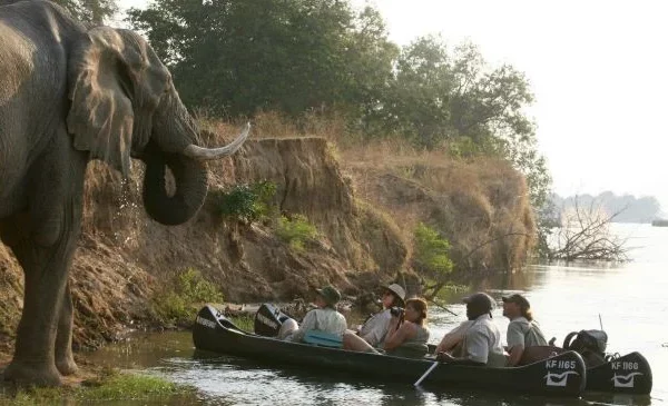 natureways-safaris-142159